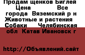 Продам щенков Биглей › Цена ­ 15 000 - Все города, Вяземский р-н Животные и растения » Собаки   . Челябинская обл.,Катав-Ивановск г.